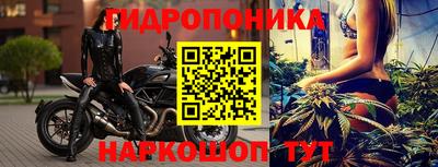 мет Можга